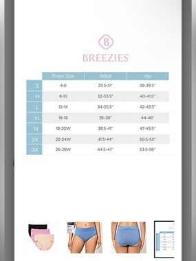 Breezies Dahlia Lace Modal Panties